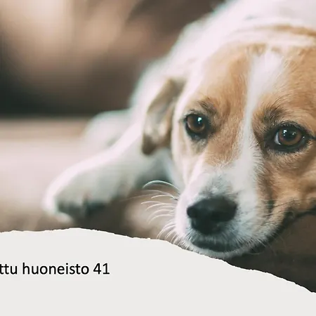 Kivilinna - Liinavaatteet,pyyhkeet Ja Loppusiivous Sisaeltyvaet Hintaan アパート ブオカッティ