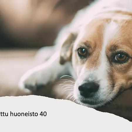 شقة Kivilinna - Liinavaatteet,pyyhkeet Ja Loppusiivous Sisaeltyvaet Hintaan فُوَكاتي