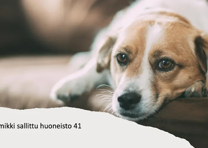 Kivilinna - Liinavaatteet,pyyhkeet Ja Loppusiivous Sisaeltyvaet Hintaan Apartment Vuokatti