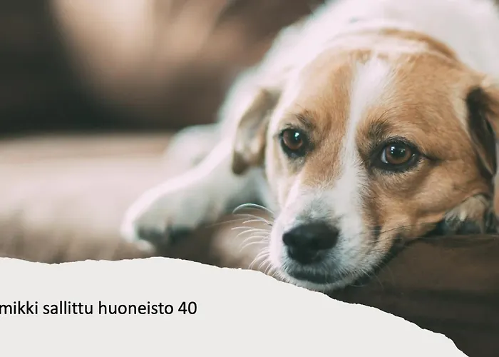 Apartment Kivilinna - Liinavaatteet,pyyhkeet Ja Loppusiivous Sisaeltyvaet Hintaan Vuokatti